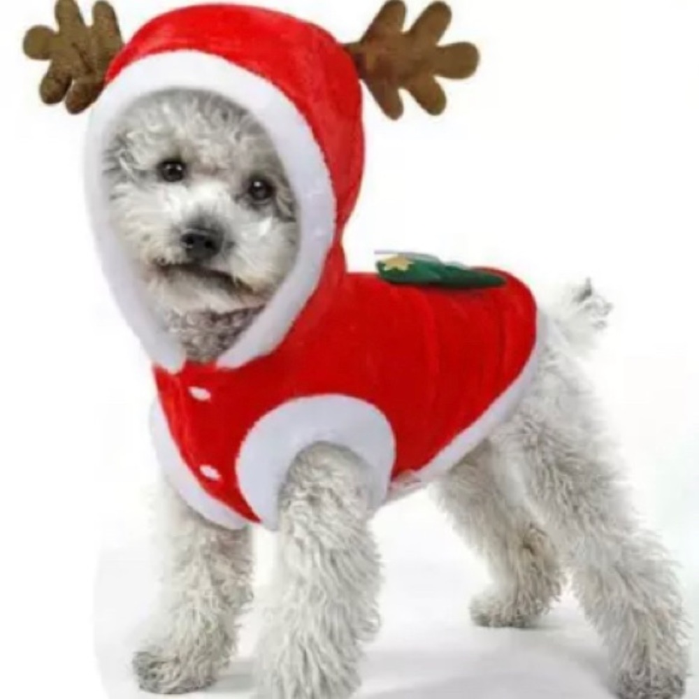 Puppy Santa Costume